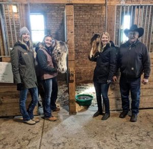 Hueber Feed Community Involvement horse stable