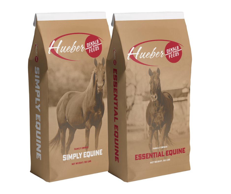 Equine Feed