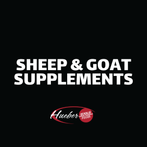 Sheep & Goat Supplements