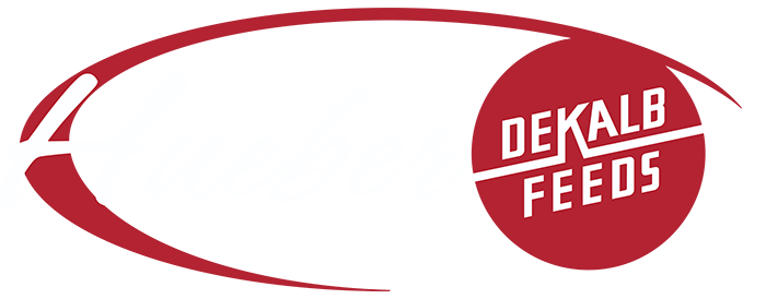 Hueber Feed