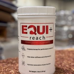 Equi+ Reach